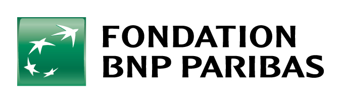 FONDATION BNP LOGO